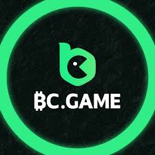 How to BC Game Install and Get Started